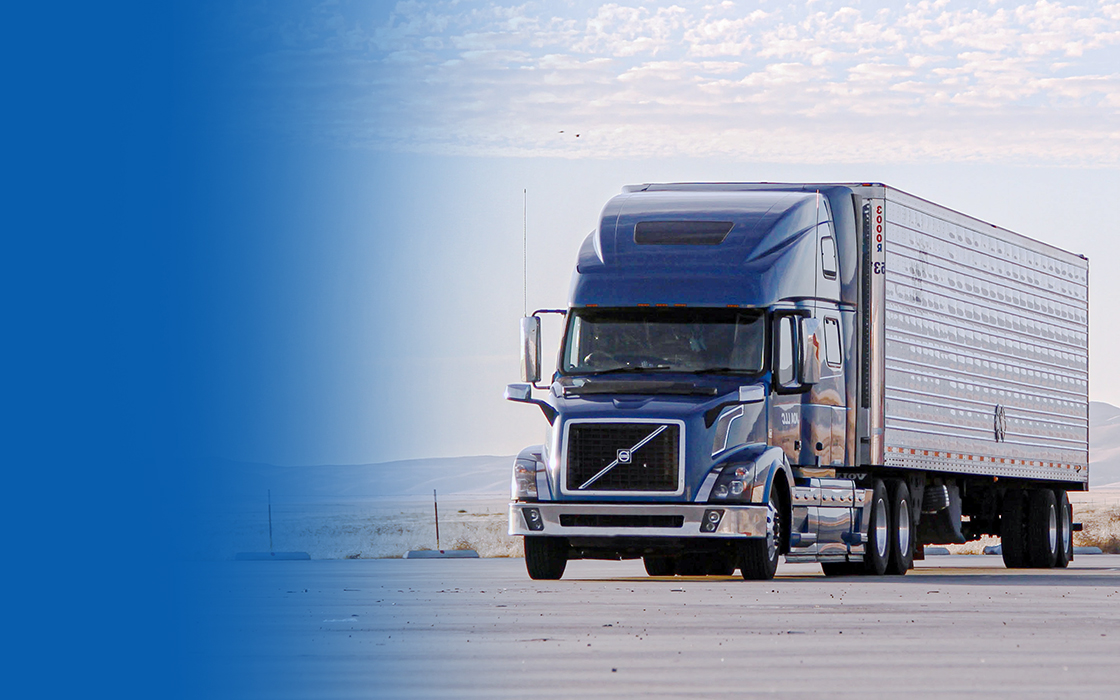 Cdl Clearinghouse