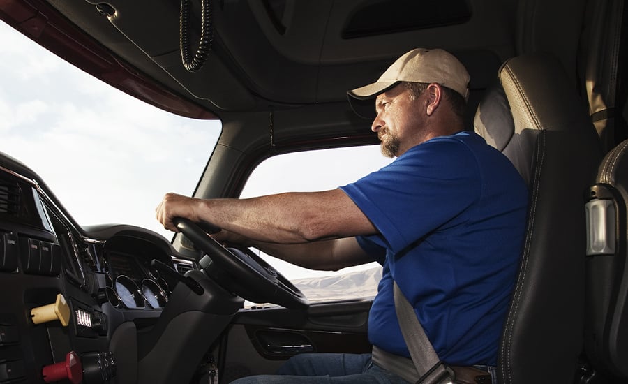 Truck Driver Behind Wheel